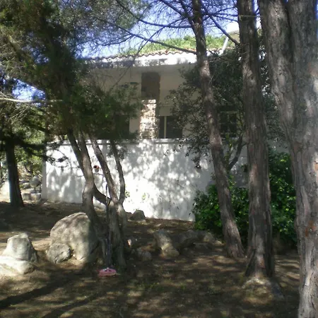 Gelsomino * Orosei